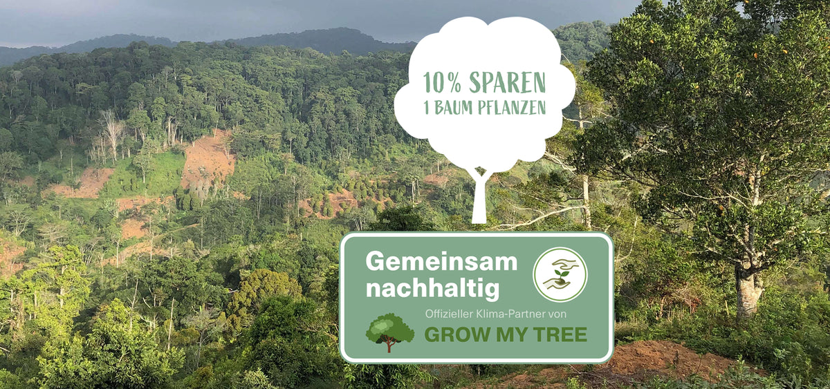 Bäume pflanzen für das Klima | Santaverde und GROW MY TREE – SANTAVERDE ...